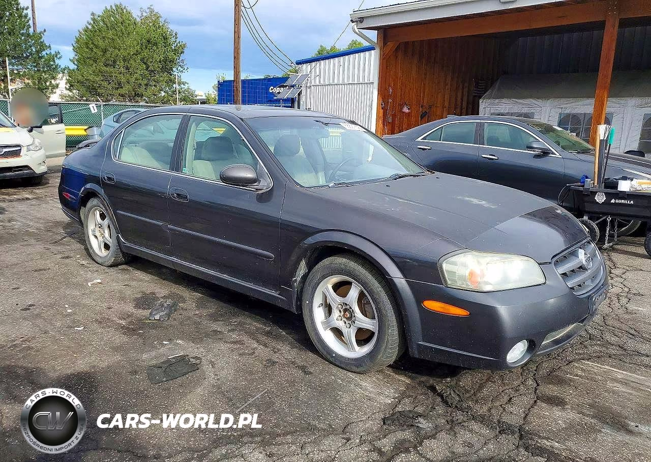 2002 Nissan Maxima Gxe VIN:JN1DA31D42T430832 - 4