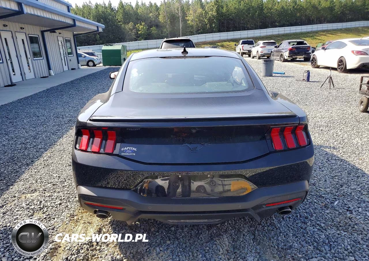 2025 Ford Mustang VIN:1FA6P8TH8S5132358 - 6
