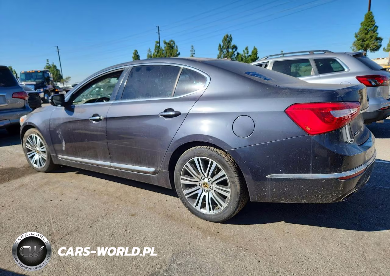 2014 Kia Cadenza Premium VIN:KNALN4D72E5134769 - 2