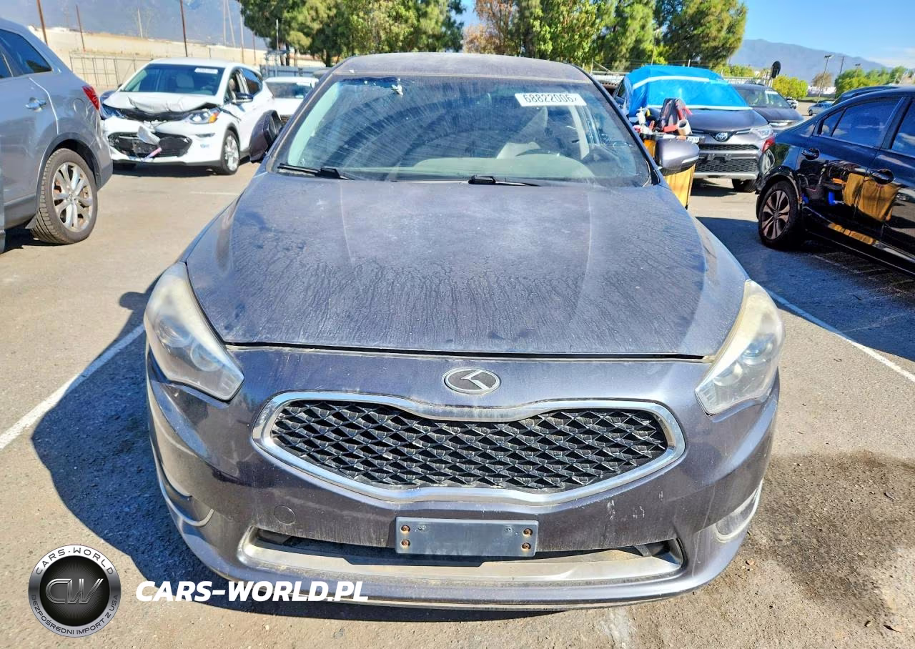 2014 Kia Cadenza Premium VIN:KNALN4D72E5134769 - 5
