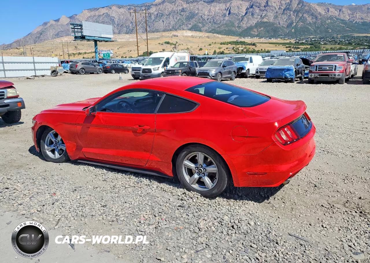 2016 Ford Mustang VIN:1FA6P8AM7G5292061 - 2