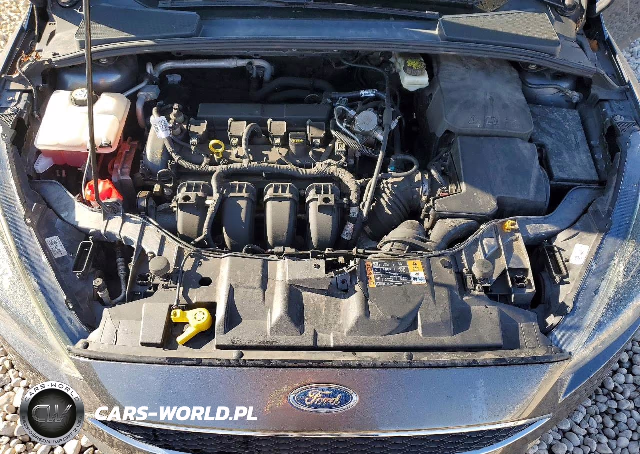 2017 Ford Focus Sel VIN:1FADP3M20HL253684 - 11