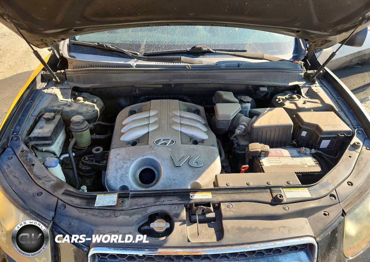 2007 Hyundai Santa Fe Se VIN:5NMSH13E07H027823 - 12