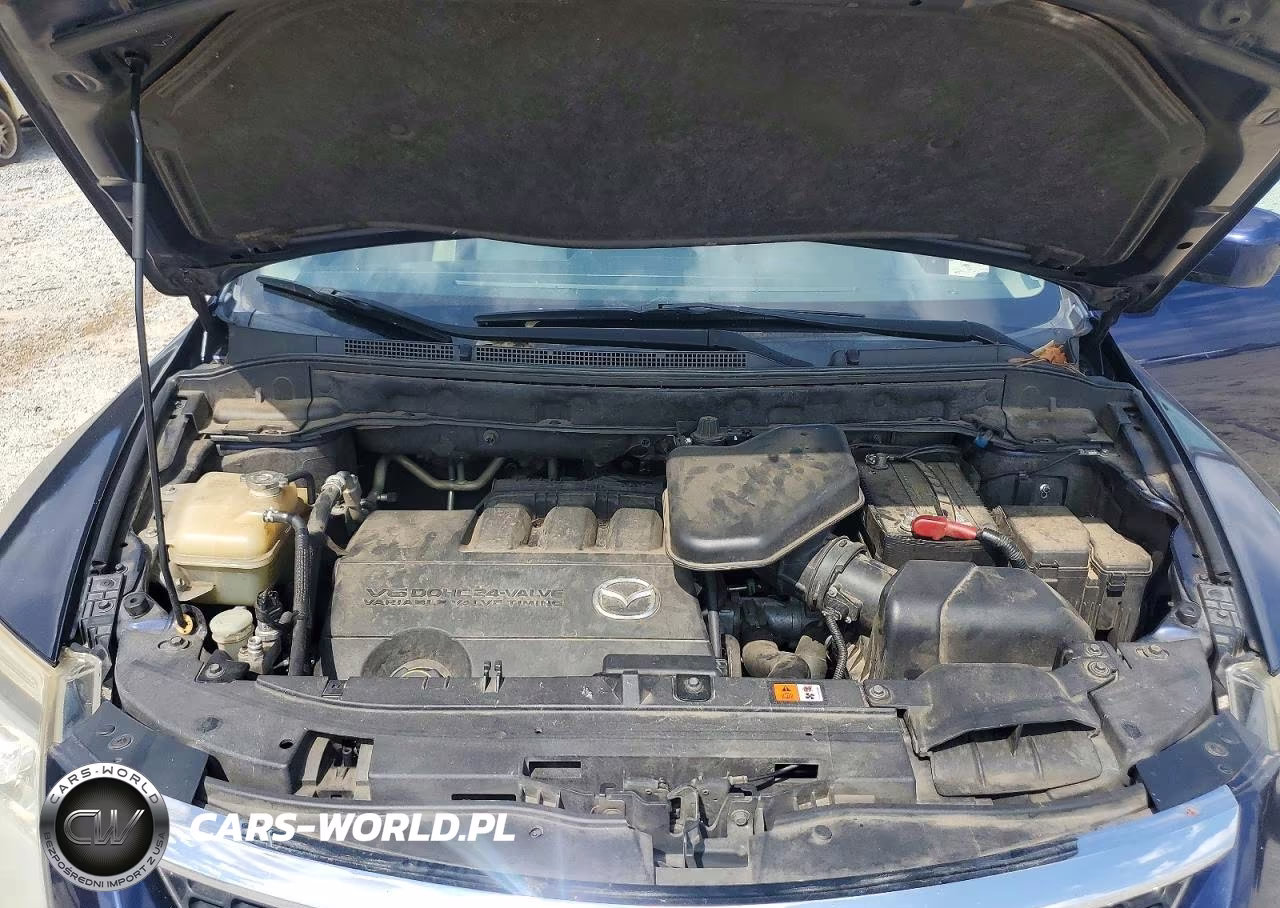 2009 Mazda Cx-9 VIN:JM3TB28A990180194 - 12