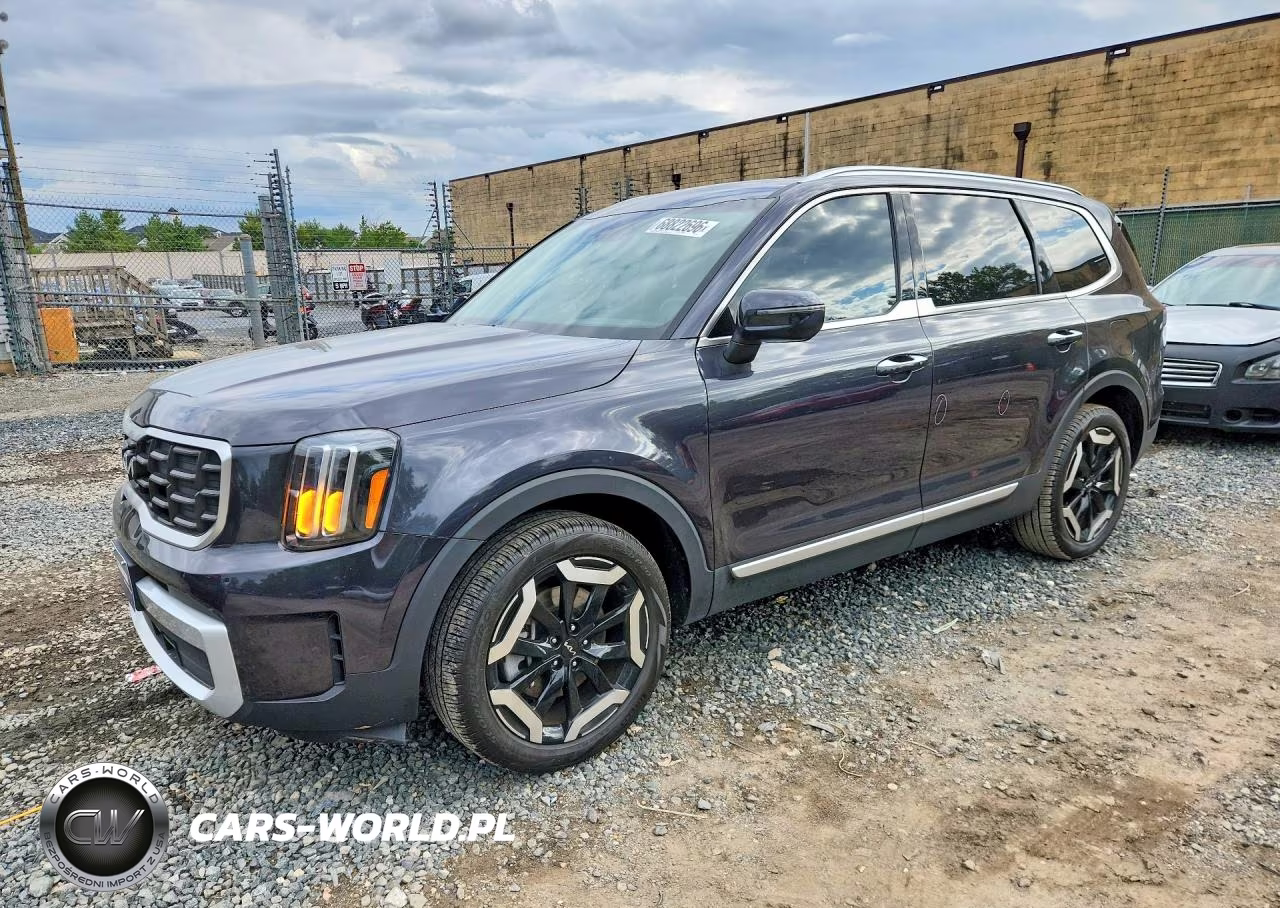 2025 Kia Telluride S VIN:5XYP6DGC8SG619186 - 1