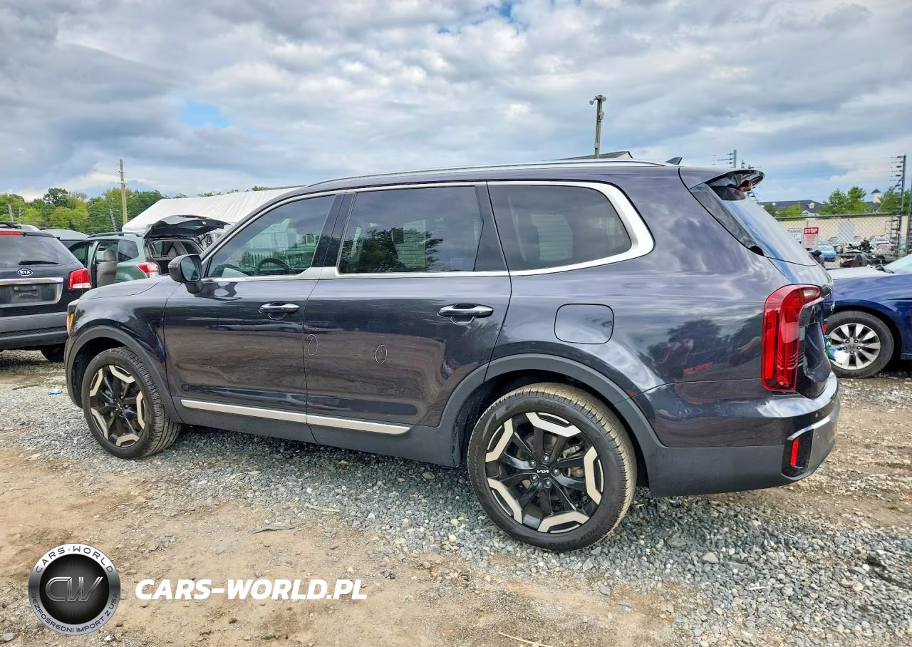 2025 Kia Telluride S VIN:5XYP6DGC8SG619186 - 2