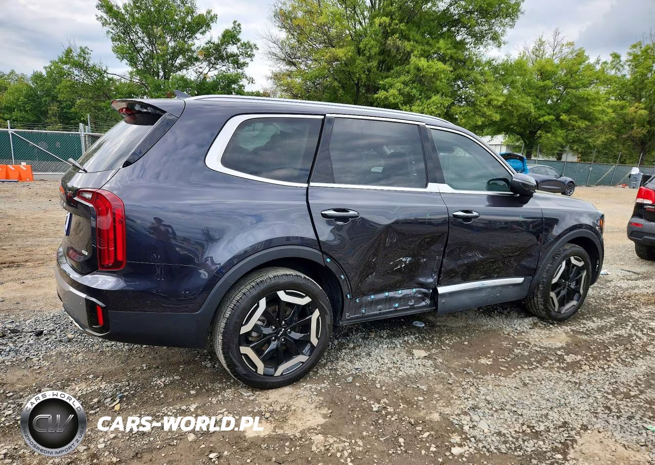 2025 Kia Telluride S VIN:5XYP6DGC8SG619186 - 3