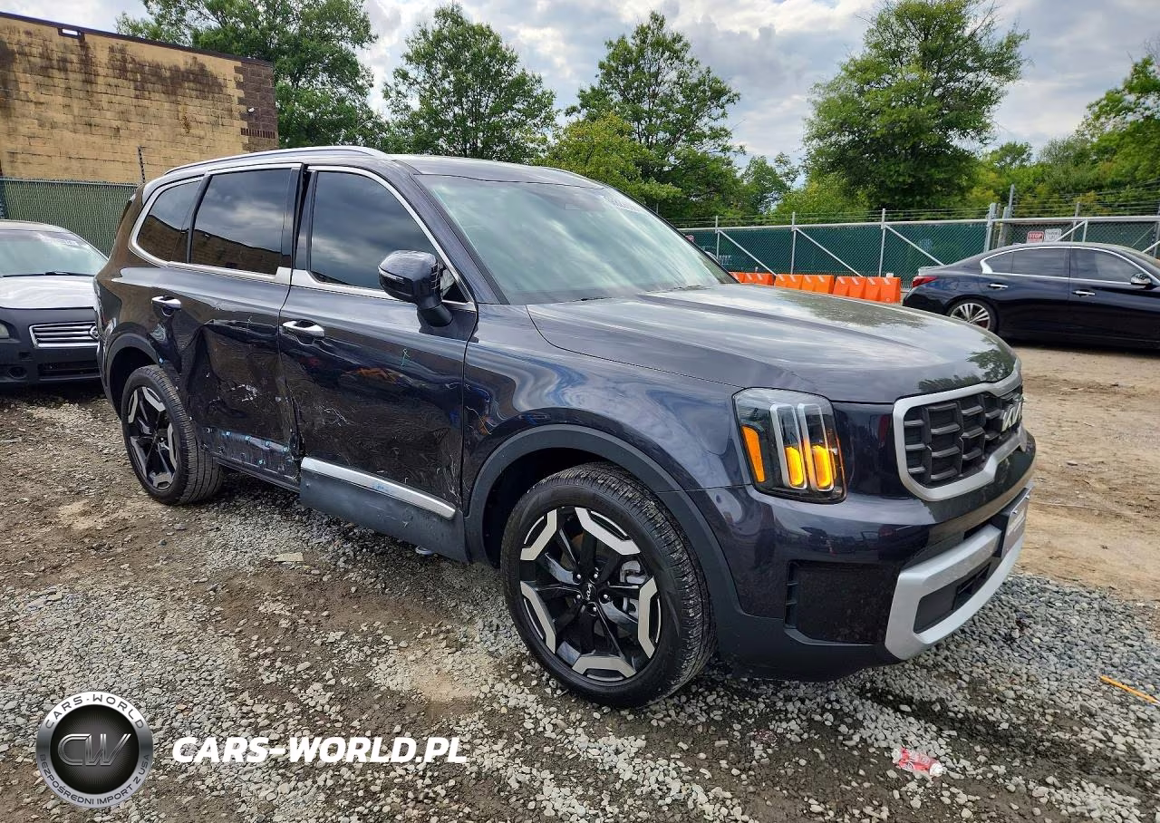 2025 Kia Telluride S VIN:5XYP6DGC8SG619186 - 4