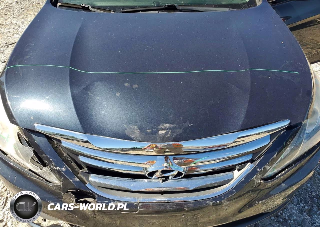 HYUNDAI SONATA VIN:5NPEC4AB0EH896816 - 11