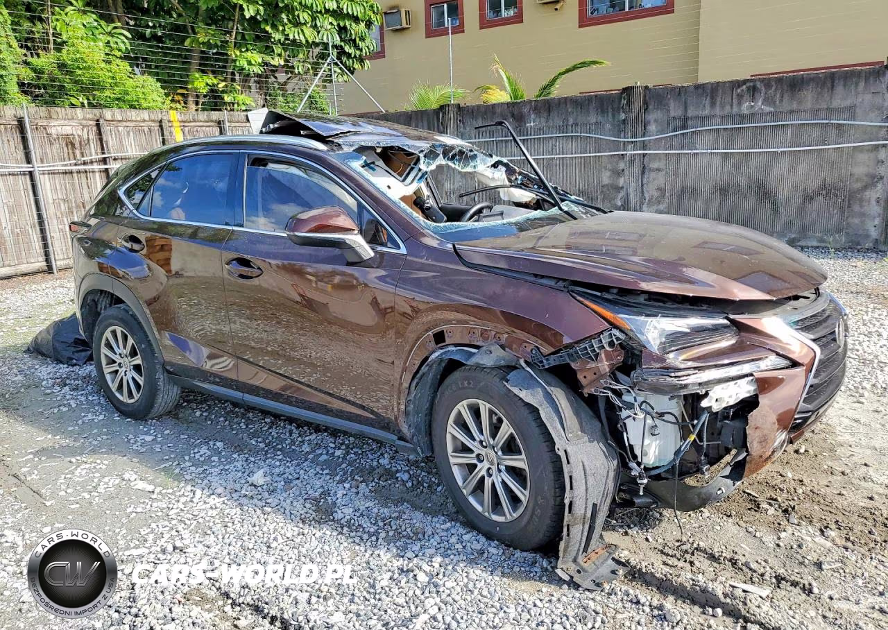 2016 Lexus Nx 200T Base VIN:JTJYARBZXG2041280 - 4