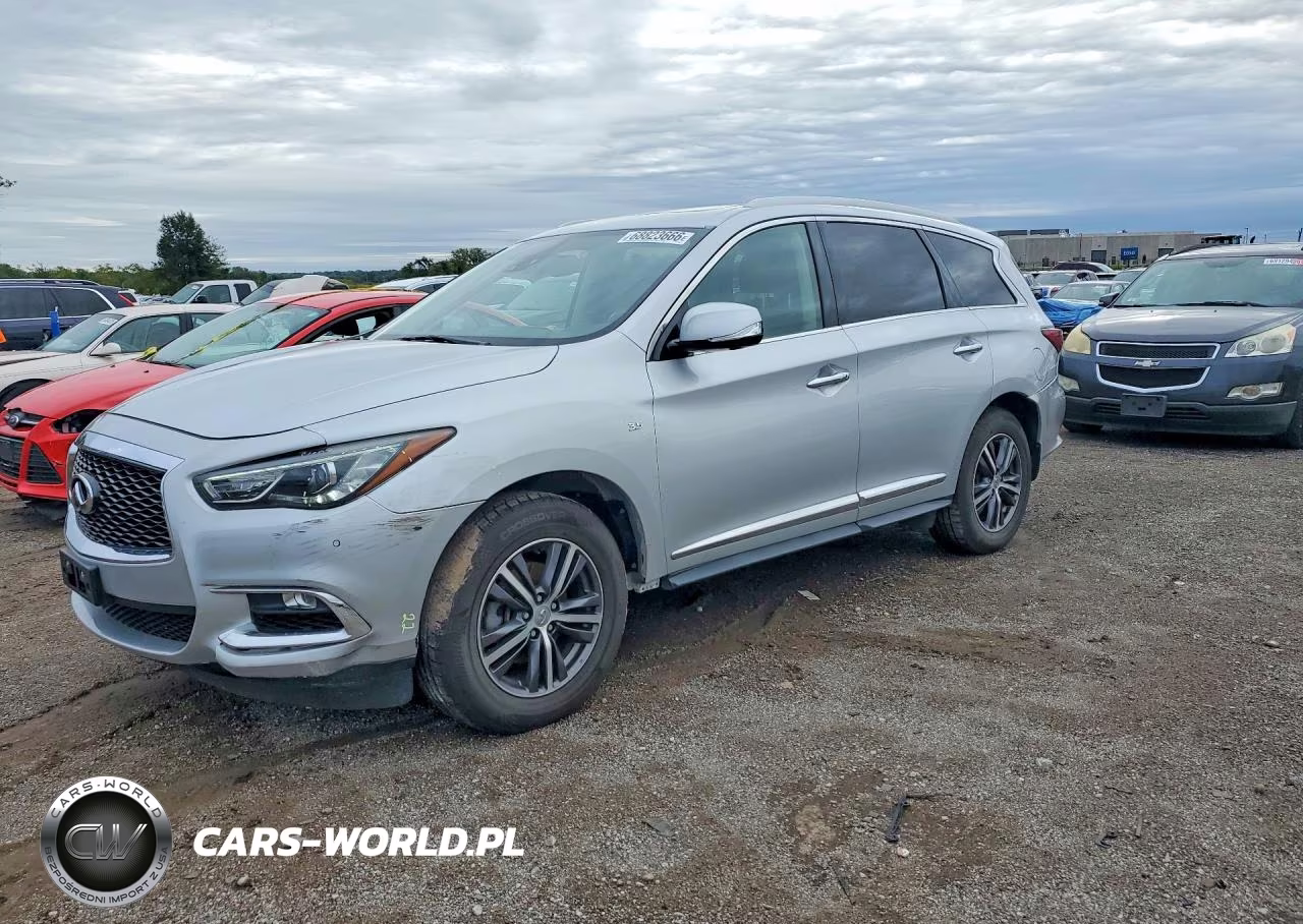 2019 Infiniti Qx60 Pure VIN:5N1DL0MM6KC550631 - 1