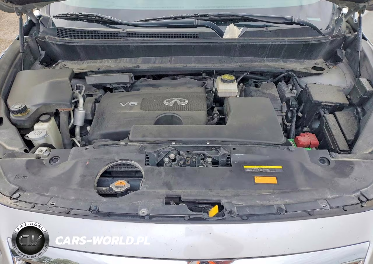 2019 Infiniti Qx60 Pure VIN:5N1DL0MM6KC550631 - 12
