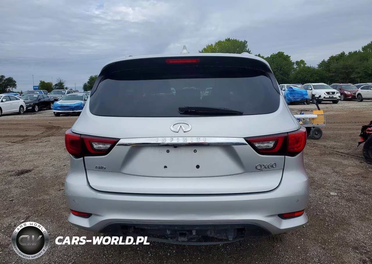 2019 Infiniti Qx60 Pure VIN:5N1DL0MM6KC550631 - 6