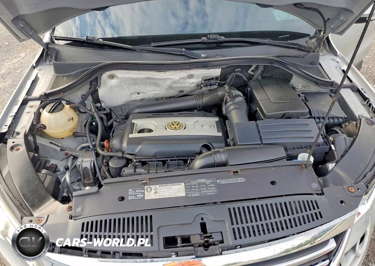 2010 Volkswagen Tiguan S VIN:WVGBV7AX6AW526626 - 12