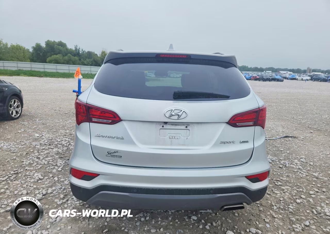 2017 Hyundai Santa Fe Sport 2.4L VIN:5XYZUDLB1HG473671 - 6
