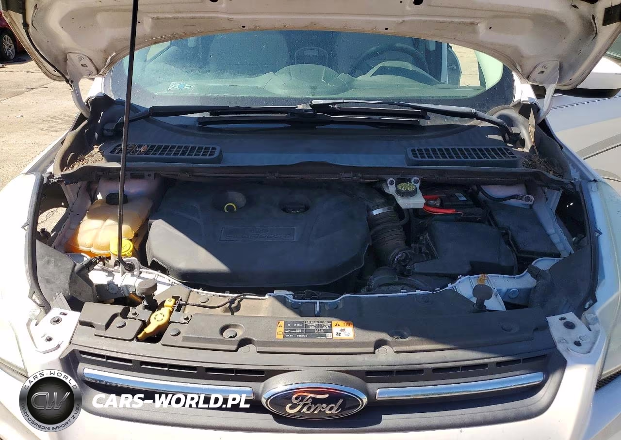2014 Ford Escape Se VIN:1FMCU0G95EUC39982 - 11