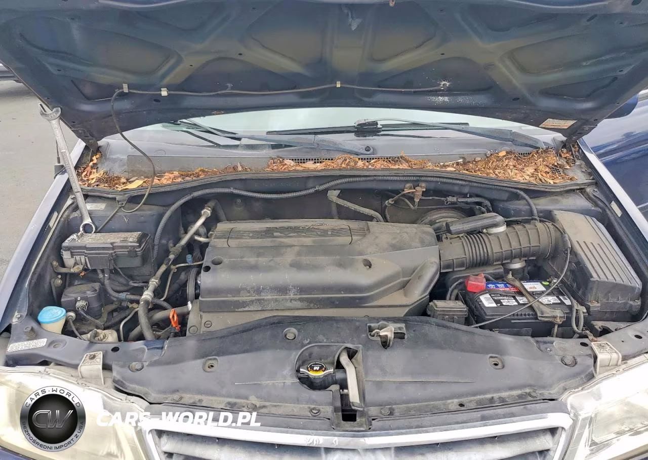 2004 Honda Odyssey Exl VIN:5FNRL18914B054146 - 12