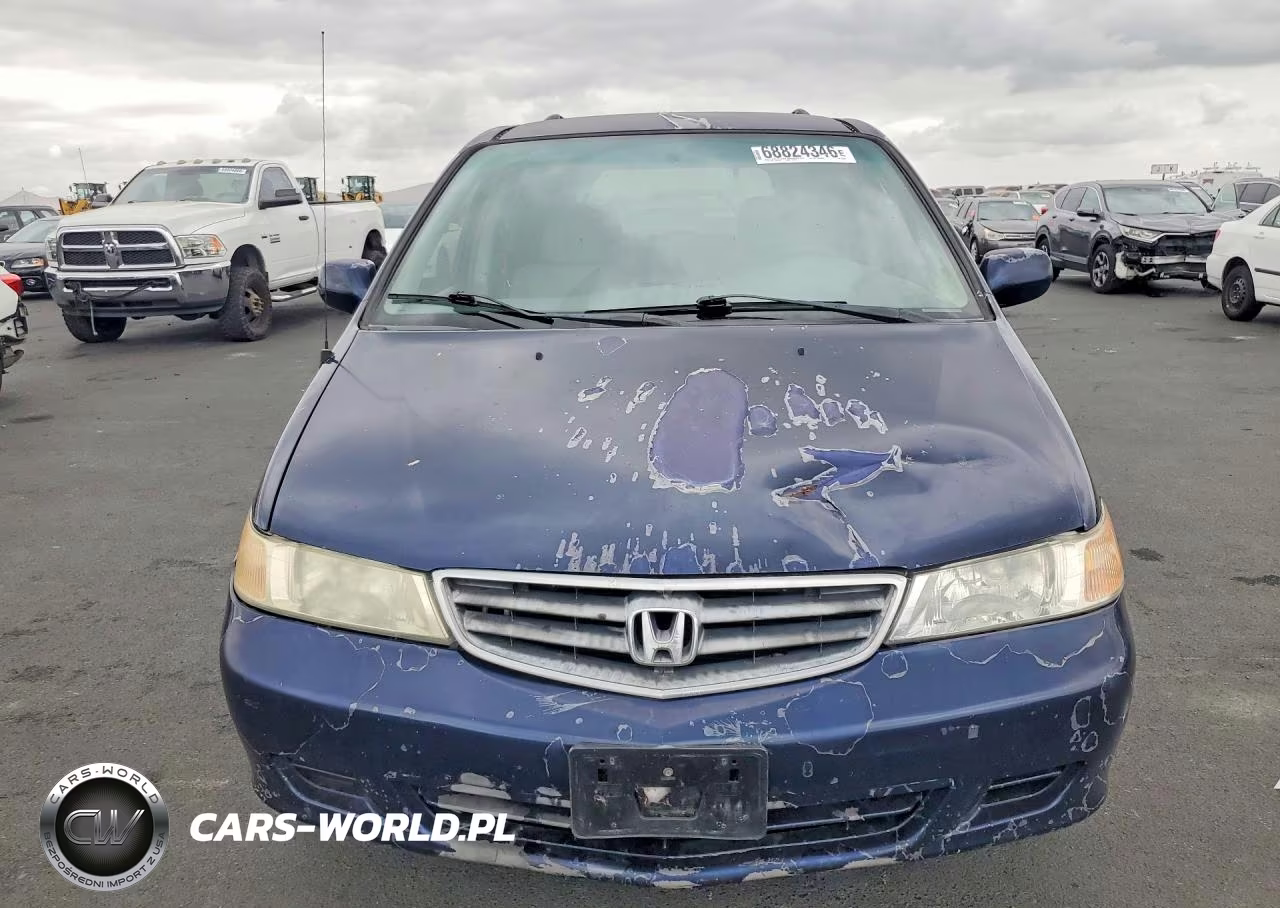 2004 Honda Odyssey Exl VIN:5FNRL18914B054146 - 5