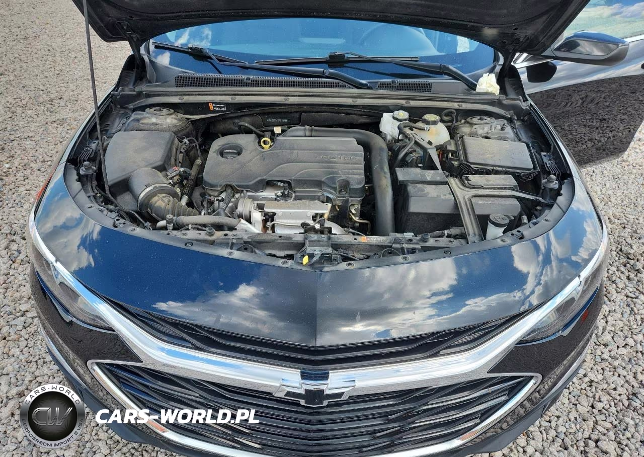 2023 Chevrolet Malibu Rs VIN:1G1ZG5ST3PF194661 - 11