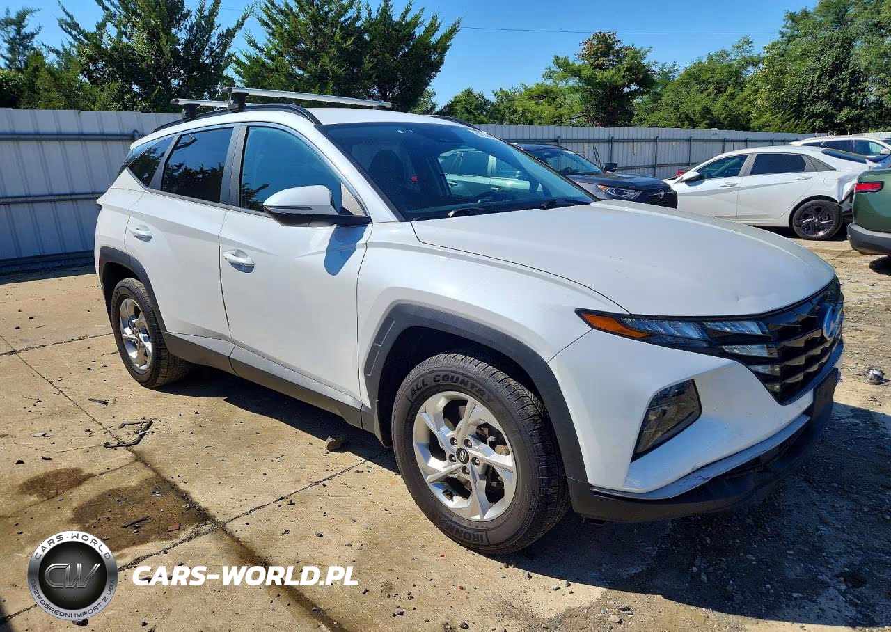 2022 Hyundai Tucson Sel VIN:5NMJBCAEXNH085429 - 4
