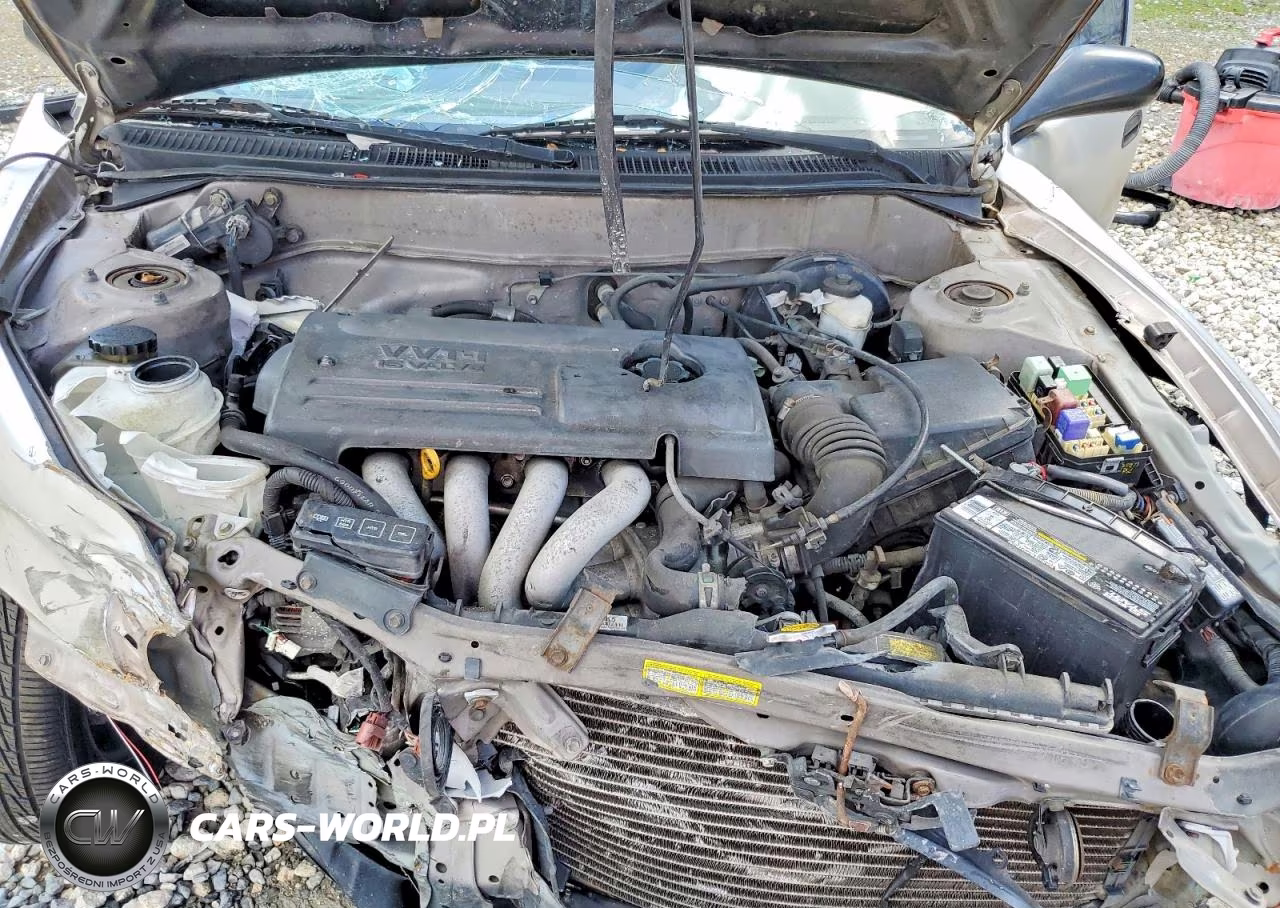 2001 Toyota Corolla Ce VIN:1NXBR12E21Z544826 - 11