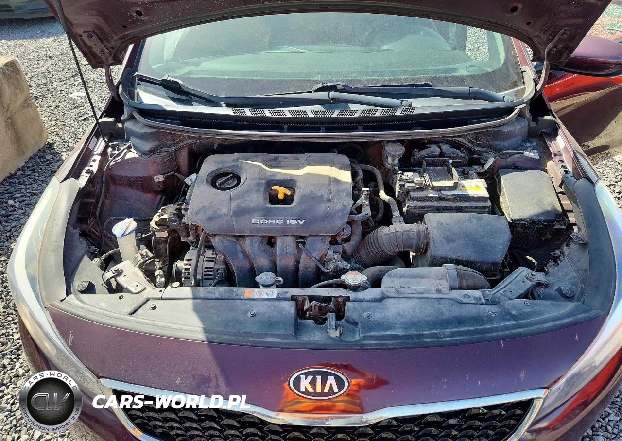 2018 Kia Forte Lx VIN:3KPFL4A77JE172488 - 11