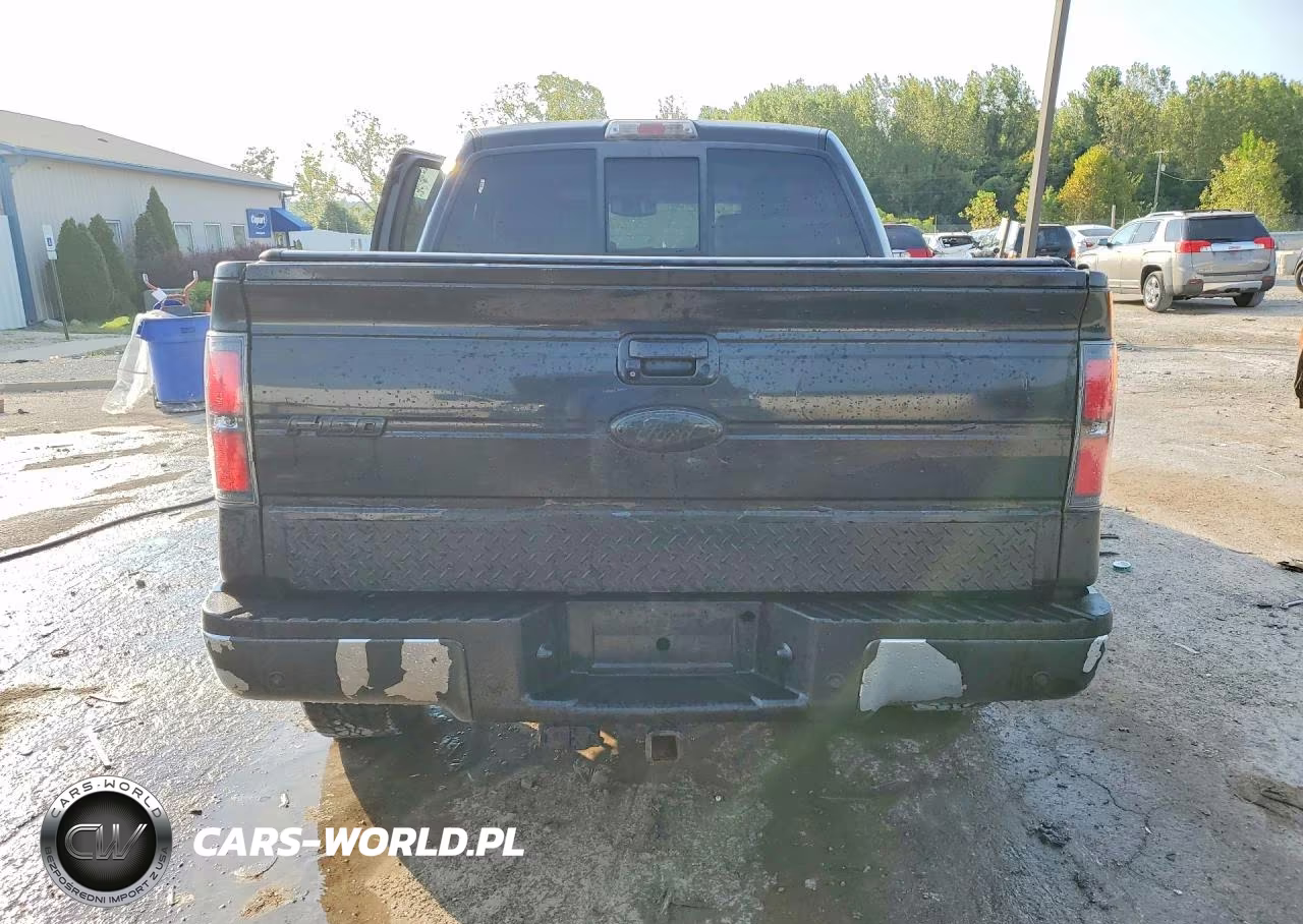 2010 Ford F150 Supercrew VIN:1FTFW1EVXAFA39177 - 6