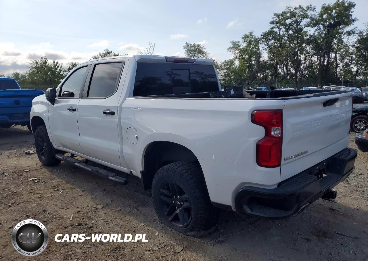 2020 Chevrolet Silverado K1500 Lt Trail Boss VIN:1GCPYFED9LZ184389 - 2