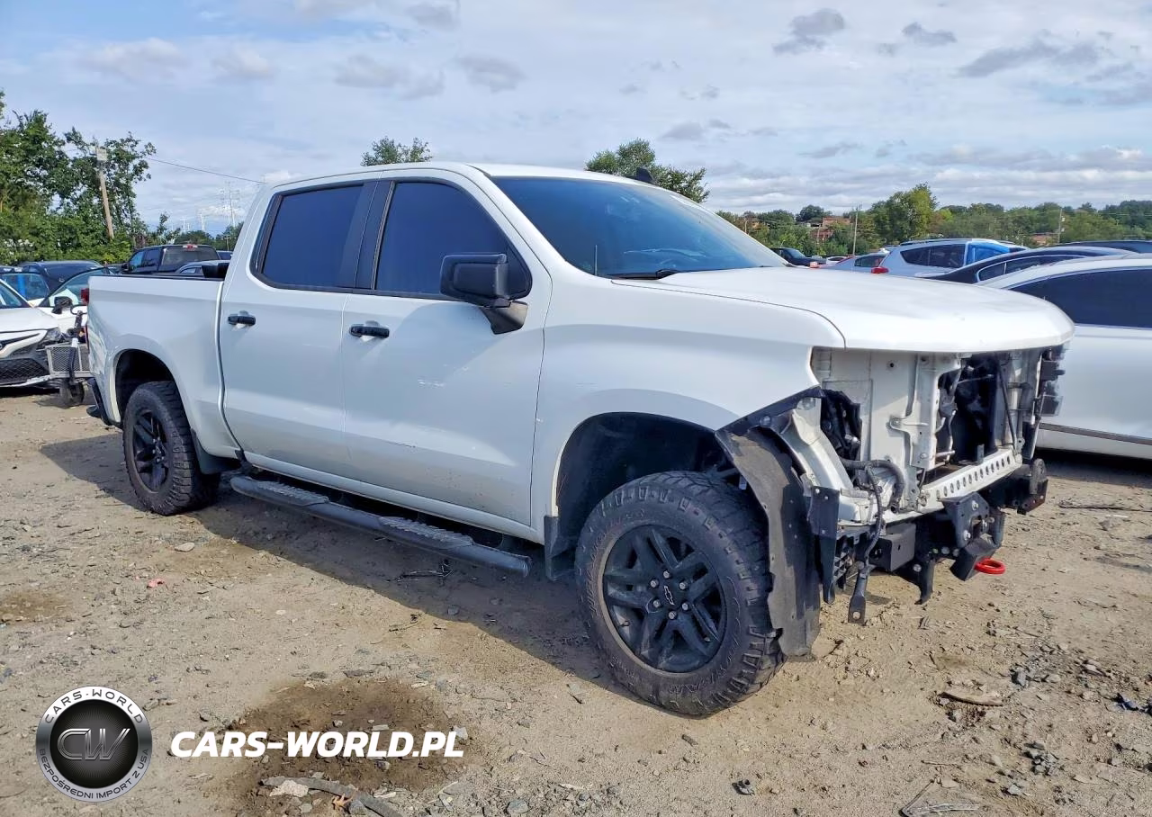 2020 Chevrolet Silverado K1500 Lt Trail Boss VIN:1GCPYFED9LZ184389 - 4