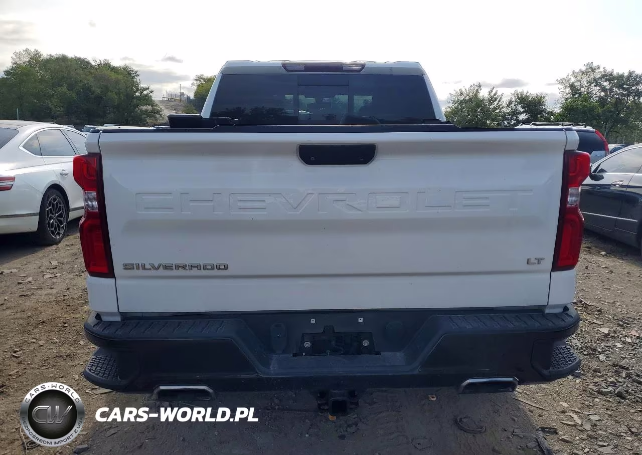 2020 Chevrolet Silverado K1500 Lt Trail Boss VIN:1GCPYFED9LZ184389 - 6