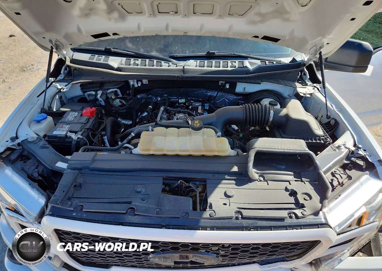2020 Ford F150 Supercrew VIN:1FTEW1CP4LKD43471 - 11