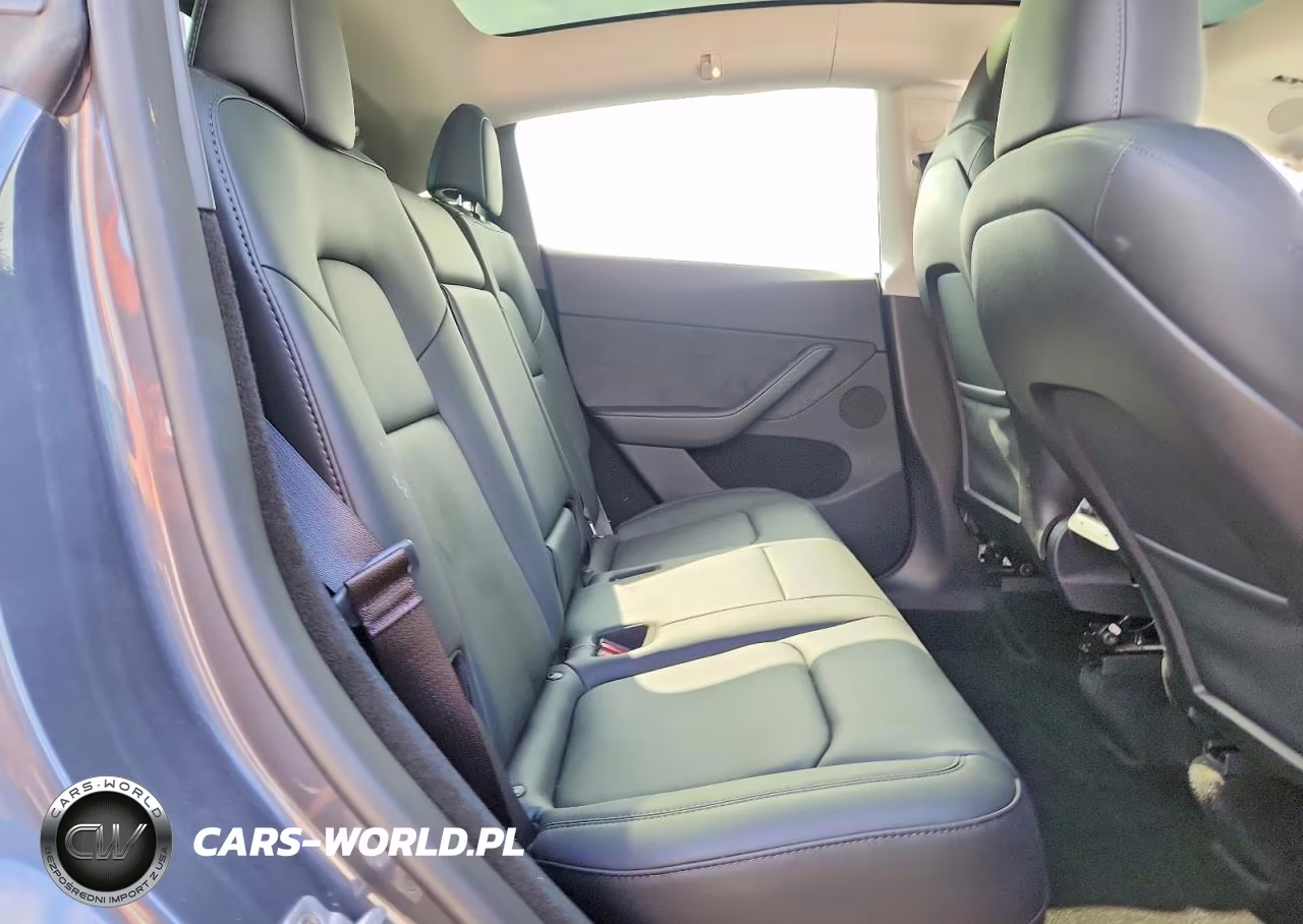2023 Tesla Model Y VIN:7SAYGDEE3PA211067 - 10
