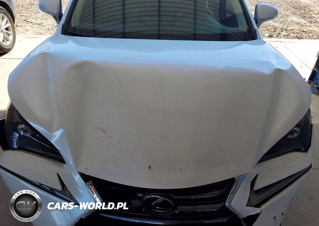 2016 Lexus Nx 200T Base VIN:JTJYARBZ6G2024749 - 12