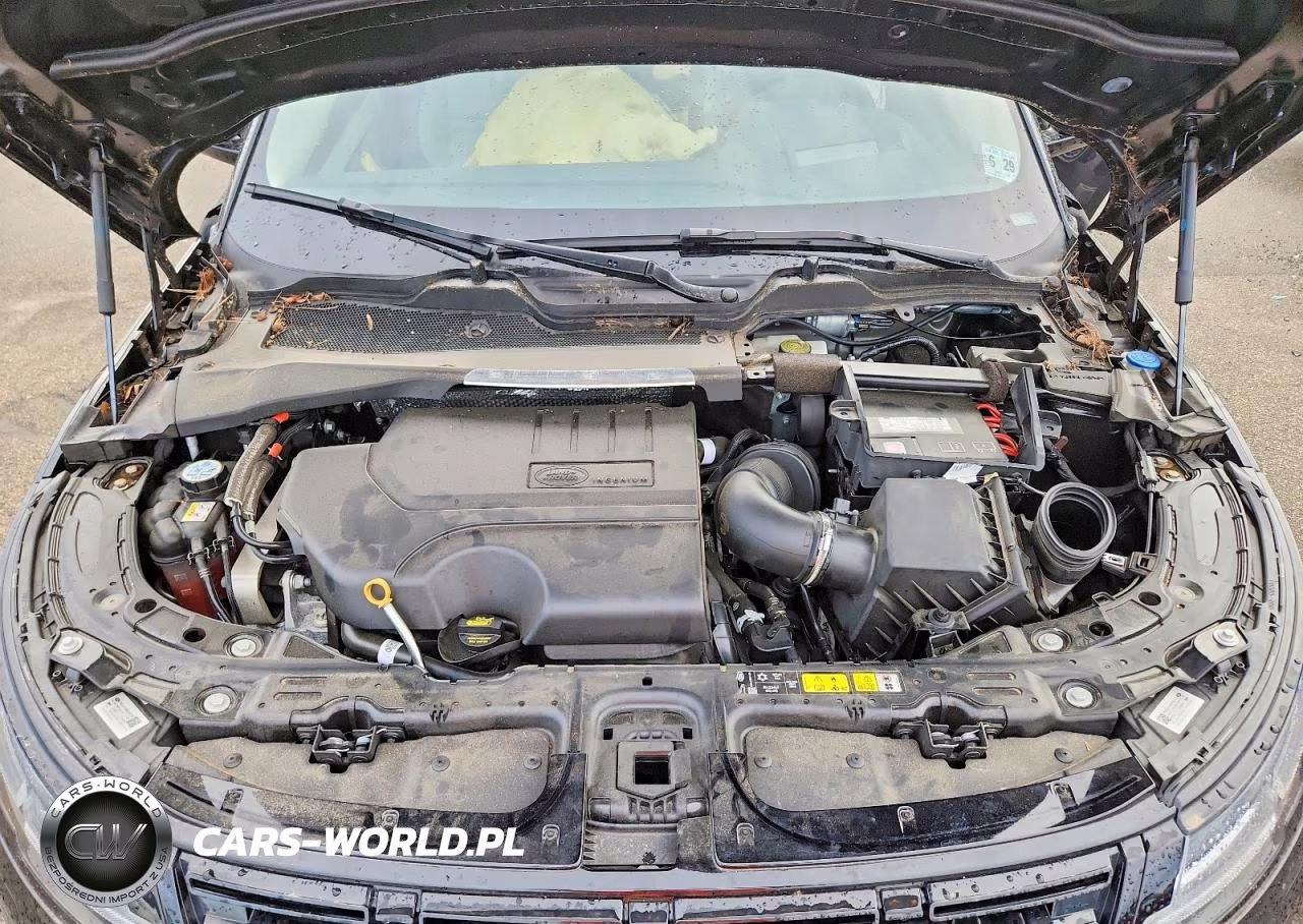 2024 Land Rover Range Rover Evoque Dynamic Se VIN:SALZL2FX5RH259783 - 12