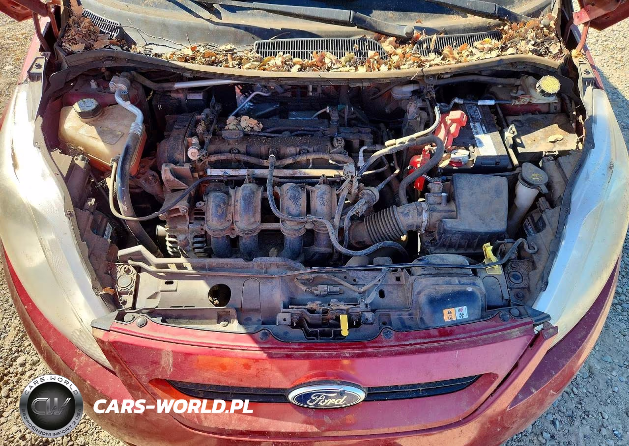 2013 Ford Fiesta Se VIN:3FADP4EJ2DM202241 - 11