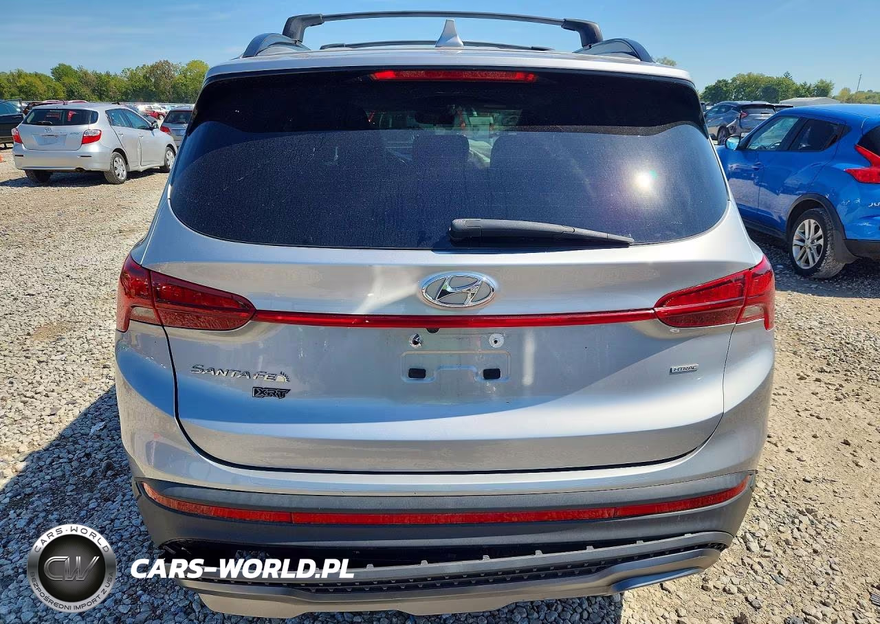 2023 Hyundai Santa Fe Xrt VIN:5NMS6DAJ6PH506139 - 6