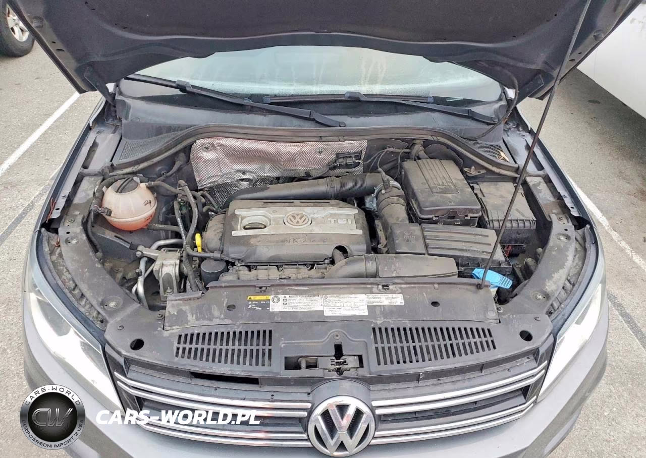 2017 Volkswagen Tiguan S VIN:WVGAV7AX9HK027431 - 12