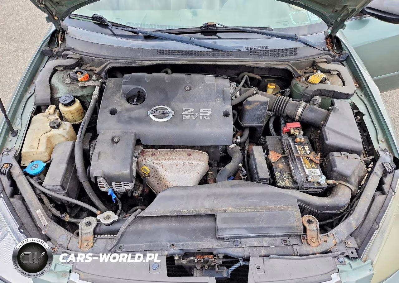 2003 Nissan Altima 2.5 VIN:1N4AL11D13C339877 - 11