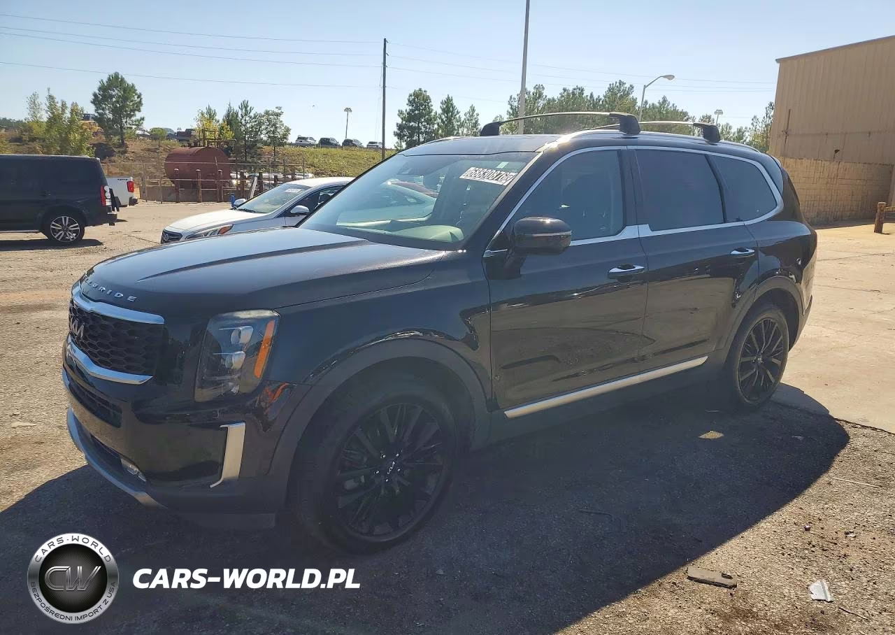 2022 Kia Telluride Sx VIN:5XYP5DHC0NG225249 - 1