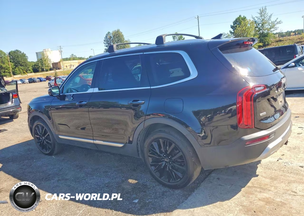 2022 Kia Telluride Sx VIN:5XYP5DHC0NG225249 - 2
