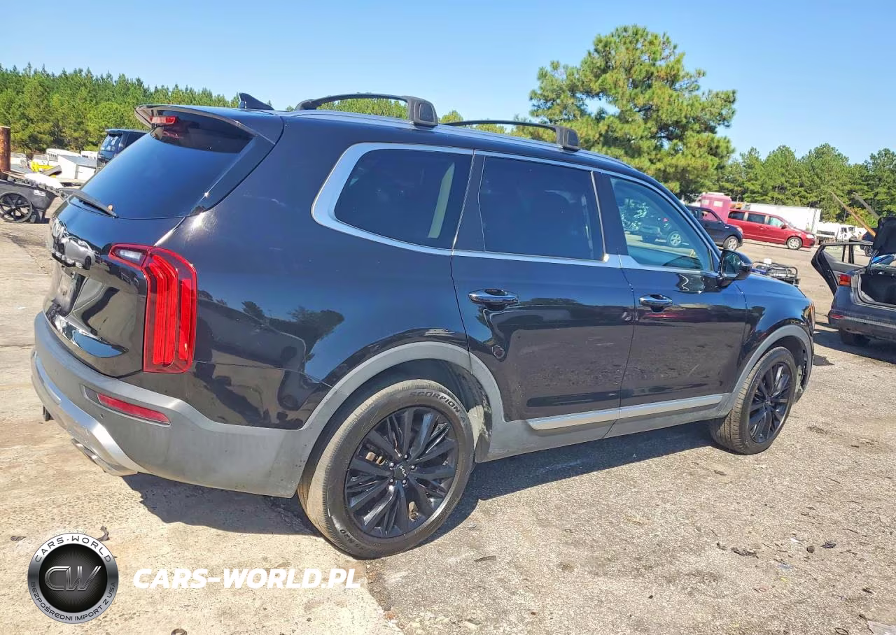 2022 Kia Telluride Sx VIN:5XYP5DHC0NG225249 - 3