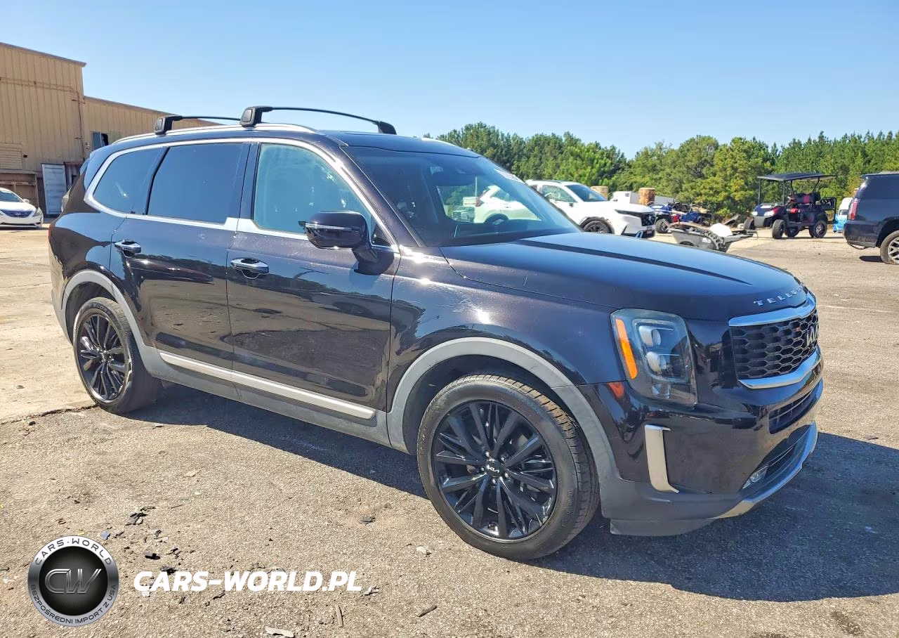2022 Kia Telluride Sx VIN:5XYP5DHC0NG225249 - 4
