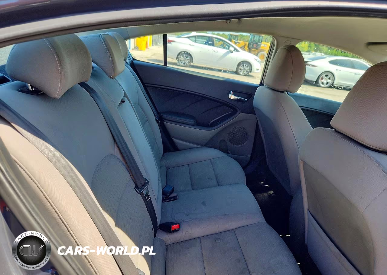 2015 Kia Forte Lx VIN:KNAFX4A60F5395595 - 10
