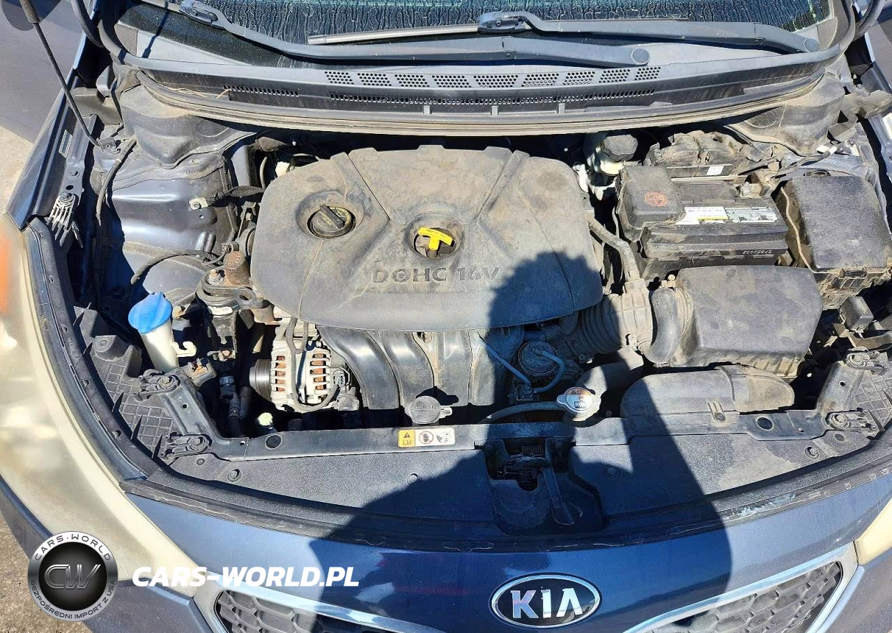 2015 Kia Forte Lx VIN:KNAFX4A60F5395595 - 11