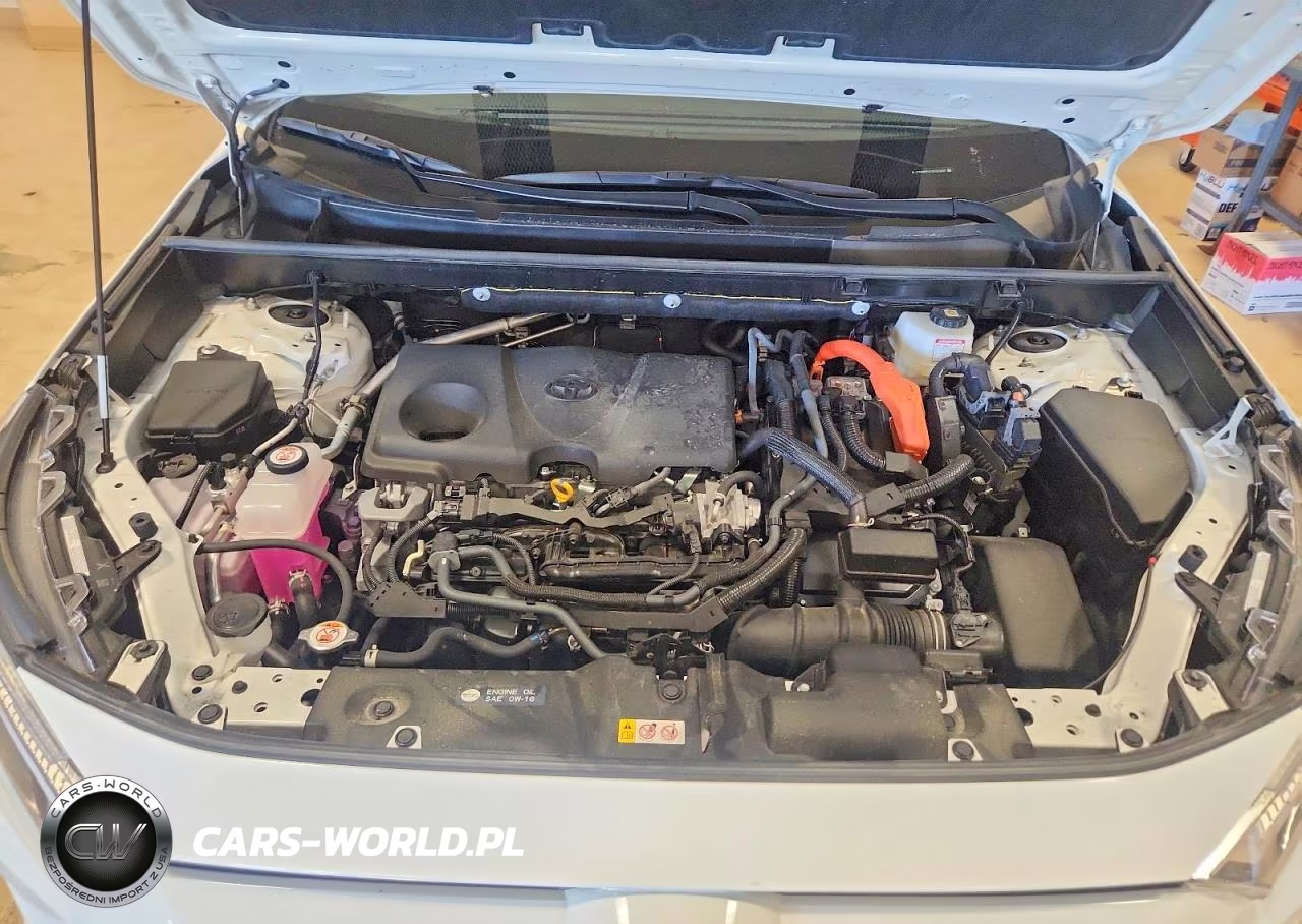 2025 Toyota Rav4 Le VIN:JTMMWRFV1SD325209 - 11