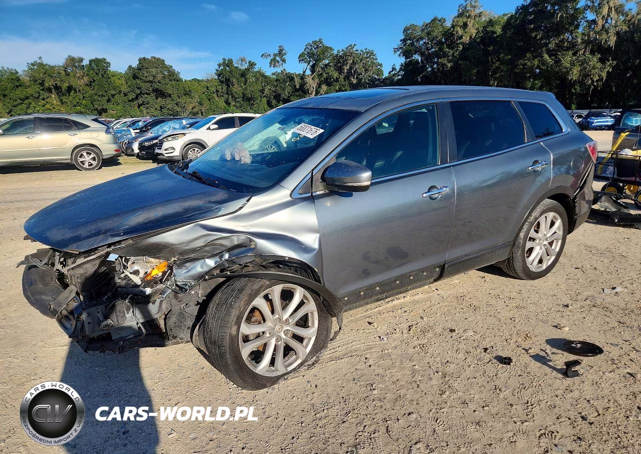 2011 Mazda Cx-9 VIN:JM3TB2DA0B0317860 - 1
