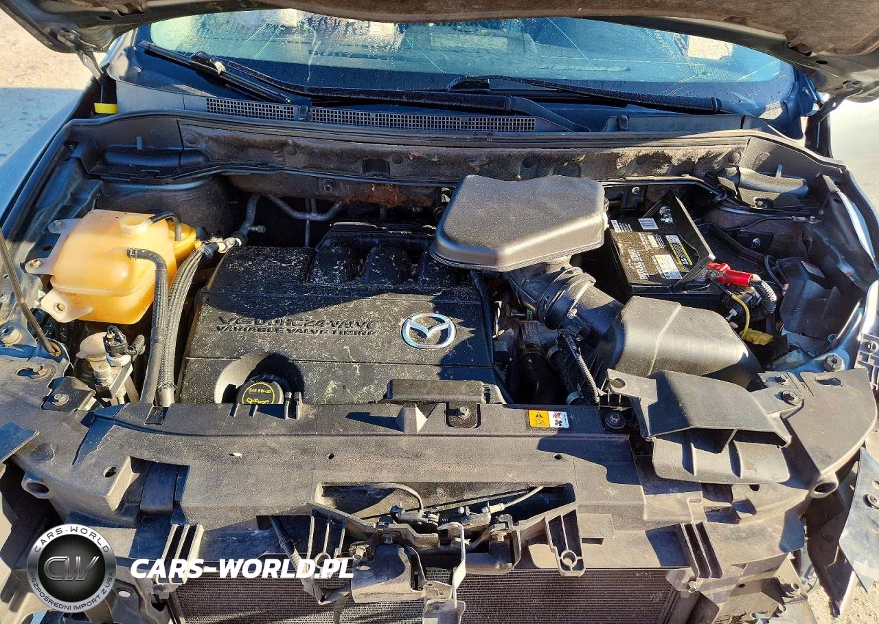 2011 Mazda Cx-9 VIN:JM3TB2DA0B0317860 - 12