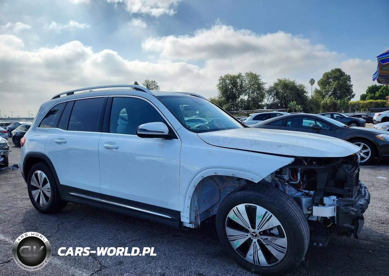 2023 Mercedes-Benz Eqb 250+ VIN:W1N9M0CBXPN069079 - 4