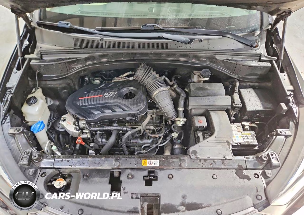 2018 Hyundai Santa Fe Sport 2.0T VIN:5NMZUDLA2JH074920 - 12