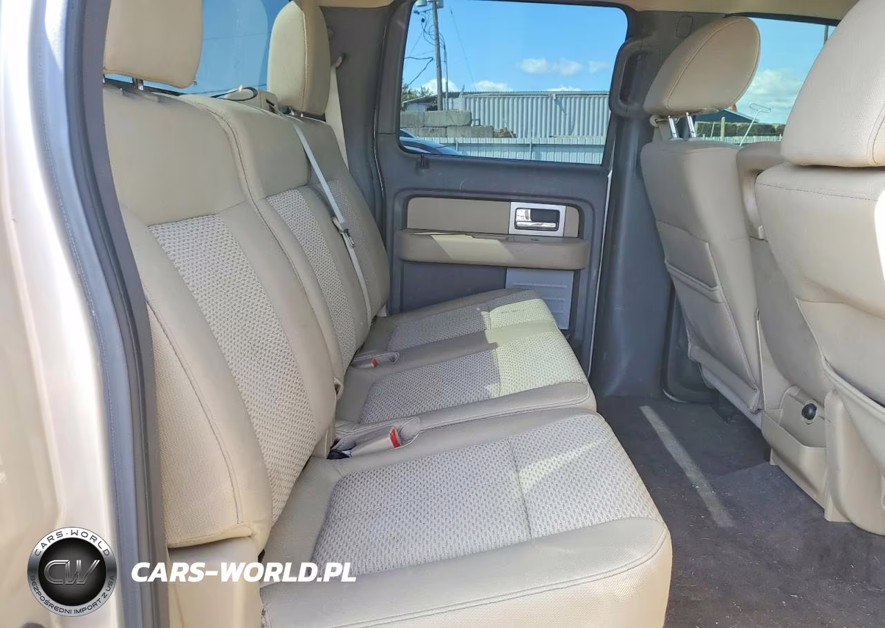 2010 Ford F150 Supercrew VIN:1FTEW1E82AFB34127 - 10